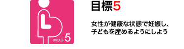 目標5　女性が健康な状態で妊娠し、子どもを産めるようにしよう